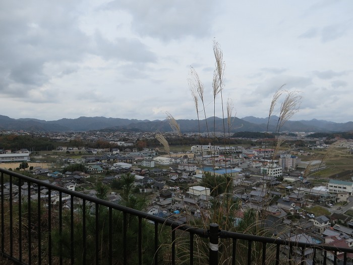 篠山市大沢/大沢ロマンの森を散策