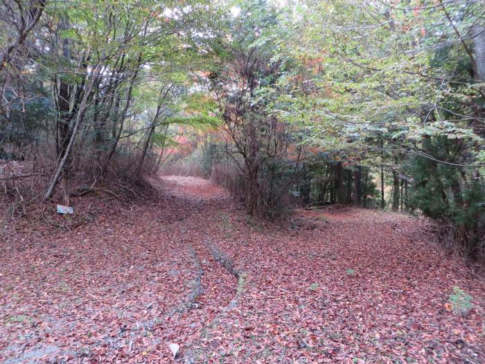 篠山市曽地中/弥十郎ヶ嶽を散策