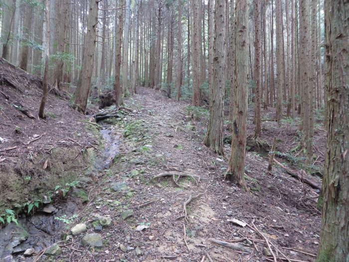 篠山市曽地中/弥十郎ヶ嶽を散策