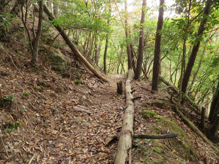 篠山市曽地中/弥十郎ヶ嶽を散策