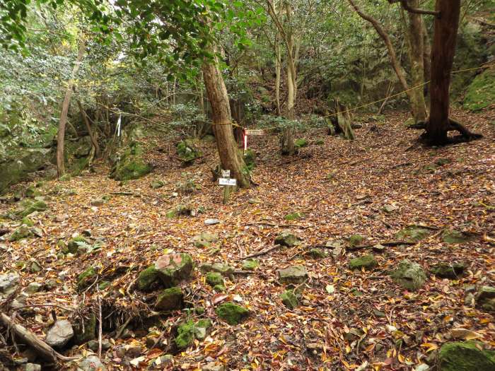 篠山市曽地中/弥十郎ヶ嶽を散策