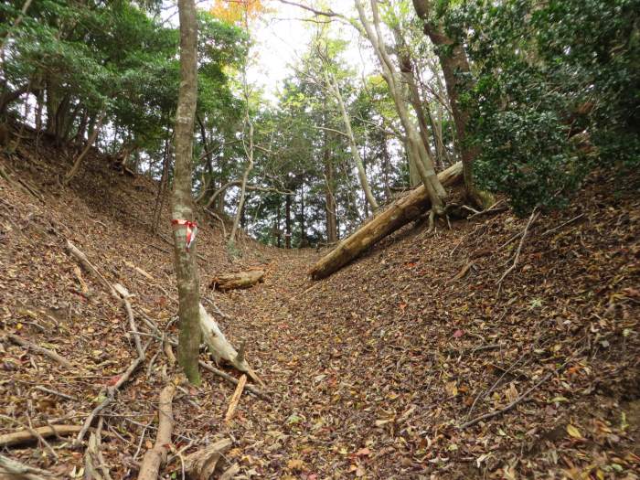 篠山市曽地中/弥十郎ヶ嶽を散策