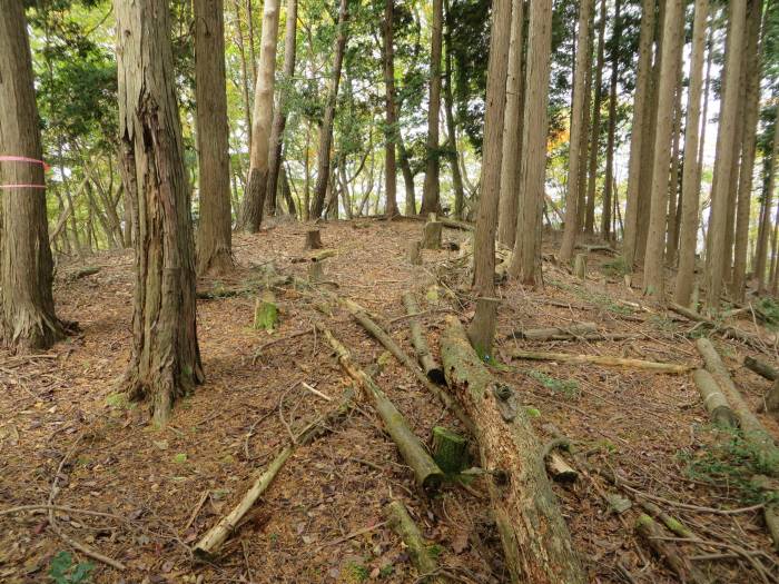 篠山市曽地中/弥十郎ヶ嶽を散策