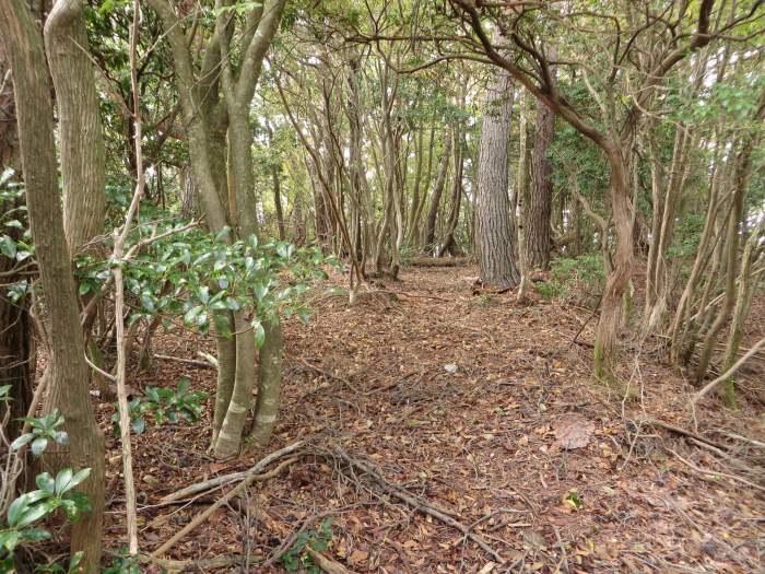 篠山市曽地中/弥十郎ヶ嶽を散策