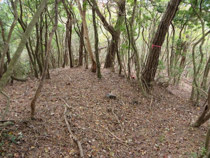 篠山市曽地中/弥十郎ヶ嶽を散策