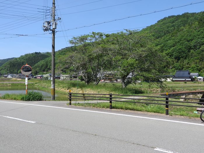 篠山市曽地口/ナンジャモンジャの木～奥原山/原山峠を散策