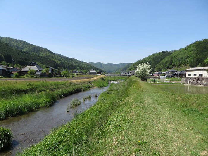 篠山市曽地口/ナンジャモンジャの木～奥原山/原山峠を散策