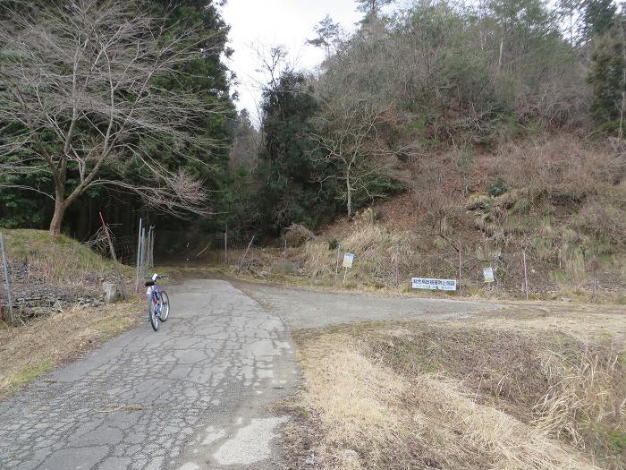 篠山市曽地奥/県道308号線～三国ヶ岳を散策