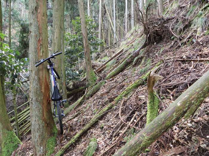 篠山市曽地奥/県道308号線～三国ヶ岳を散策