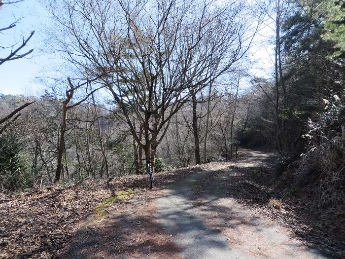 篠山市曽地奥/曽地奥林道～後川新田/大峠・原峠～福住/天王峠を散策