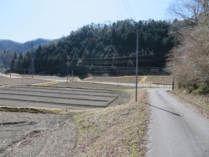 篠山市曽地奥/曽地奥林道～後川新田/大峠・原峠～福住/天王峠を散策