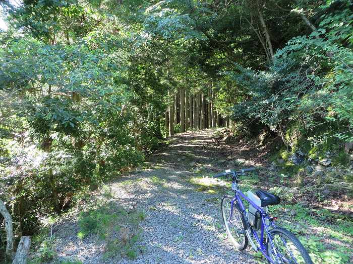 川辺郡猪名川町/大野山～篠山市後川上/古坂峠旧道を散策