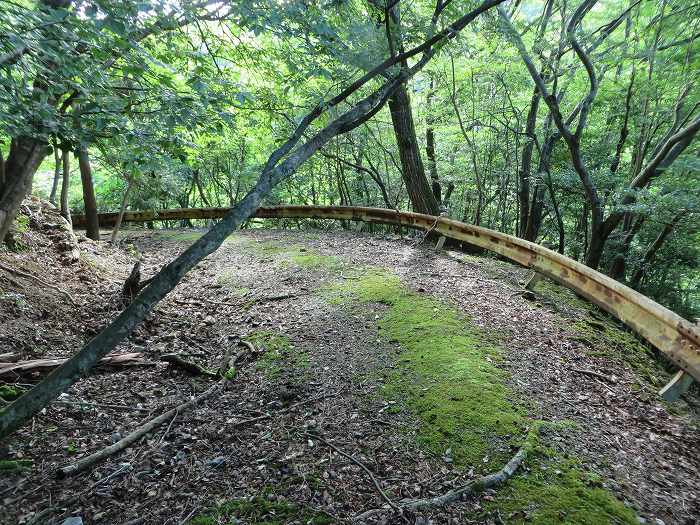 川辺郡猪名川町/大野山～篠山市後川上/古坂峠旧道を散策