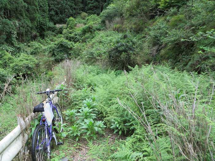 川辺郡猪名川町/大野山～篠山市後川上/古坂峠旧道を散策