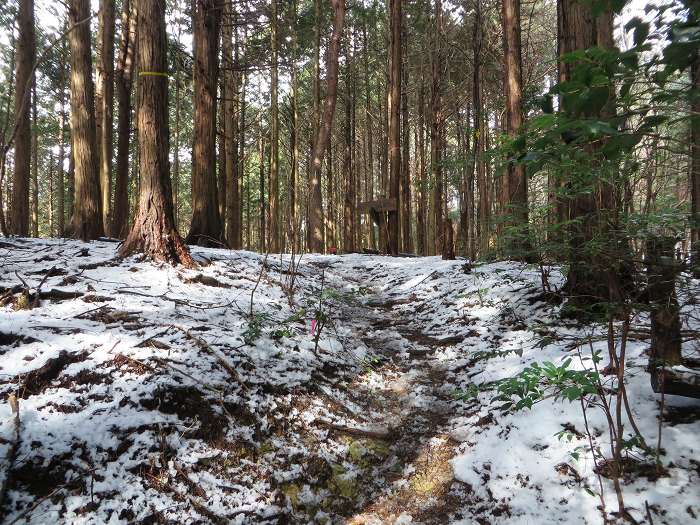 篠山市曽地奥/曽地奥林道～後川新田/大峠・原峠～福住/天王峠を散策