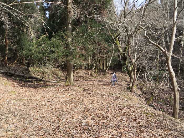 篠山市曽地奥/曽地奥林道～後川新田/大峠・原峠～福住/天王峠を散策