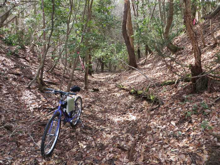 篠山市曽地奥/曽地奥林道～後川新田/大峠・原峠～福住/天王峠を散策