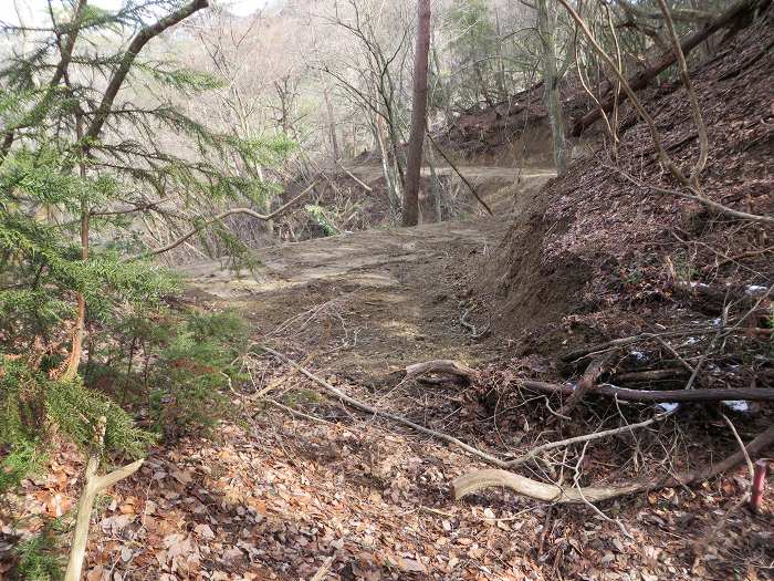 篠山市曽地奥/曽地奥林道～後川新田/大峠・原峠～福住/天王峠を散策