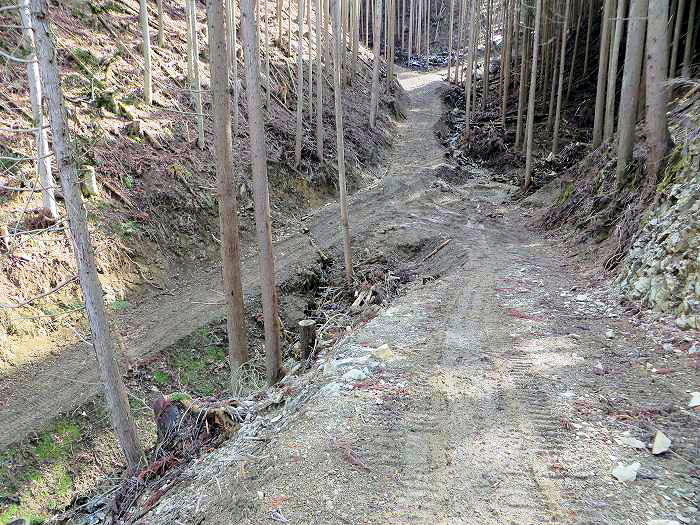 篠山市曽地奥/曽地奥林道～後川新田/大峠・原峠～福住/天王峠を散策