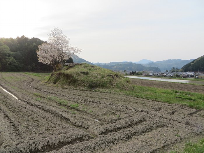 篠山市上筱見/筱見四十八滝～八ヶ尾山～篠山市東本荘/洞光寺を散策