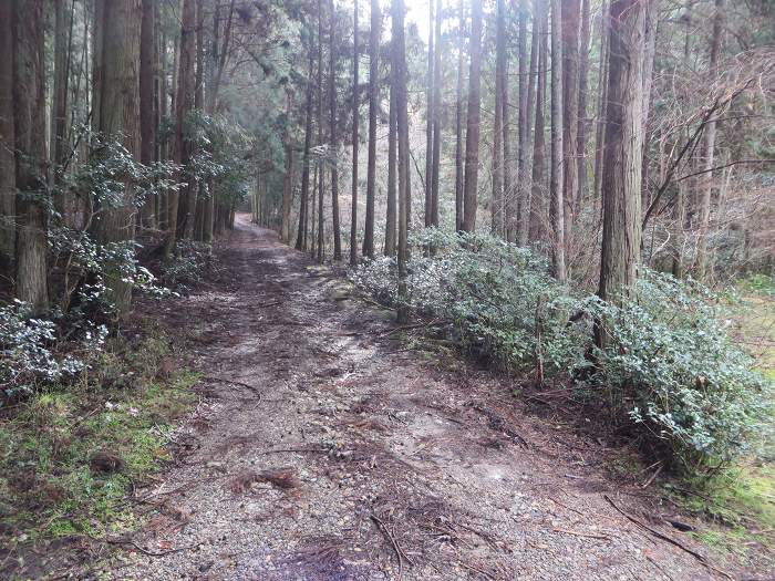 篠山市辻/北中山（シドロ大丸）を散策