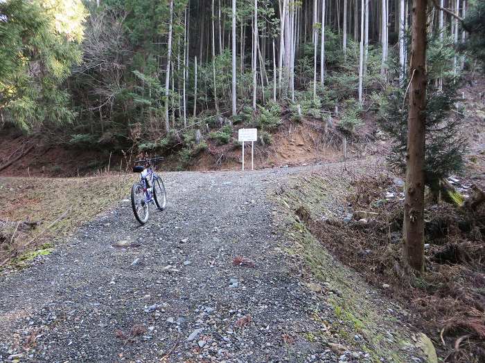 篠山市辻/北中山（シドロ大丸）を散策