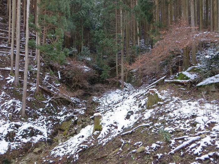 篠山市辻/北中山（シドロ大丸）を散策