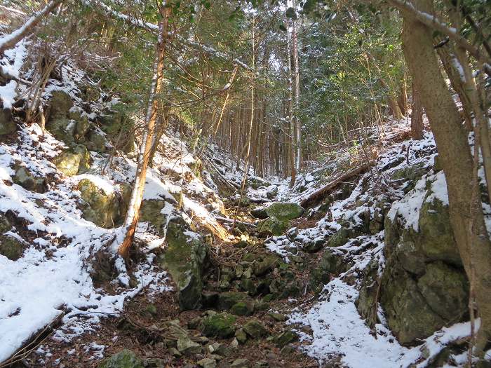 篠山市辻/北中山（シドロ大丸）を散策