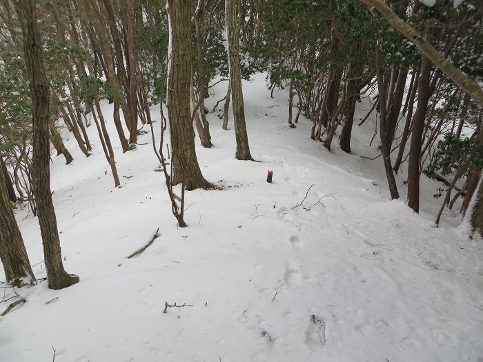 篠山市辻/北中山（シドロ大丸）を散策