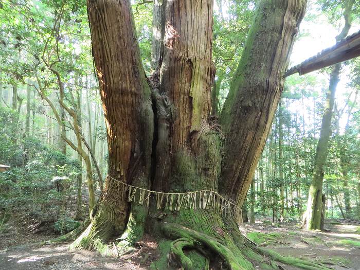 友人来訪、篠山市中央部～東部を観光案内