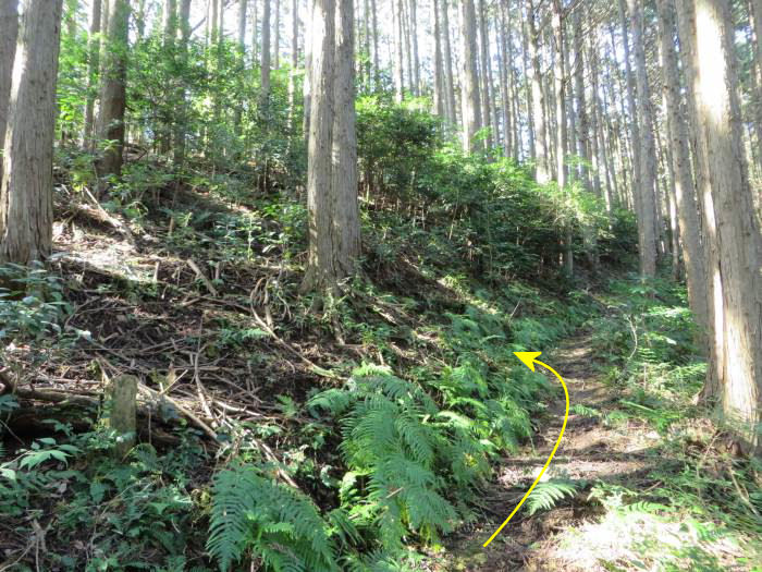 篠山市福住/籾井城址を散策