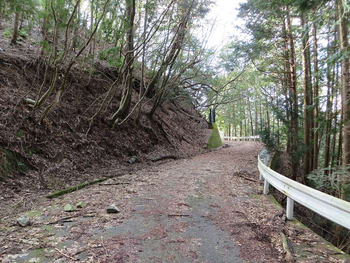 篠山市曽地奥/曽地奥林道～後川新田/大峠・原峠～福住/天王峠を散策