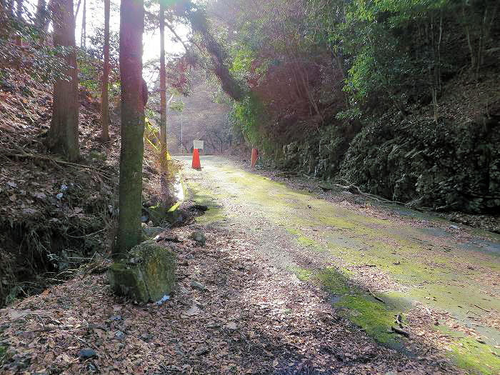 篠山市曽地奥/曽地奥林道～後川新田/大峠・原峠～福住/天王峠を散策