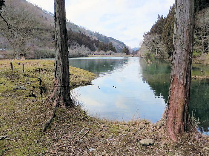 篠山市曽地奥/曽地奥林道～後川新田/大峠・原峠～福住/天王峠を散策