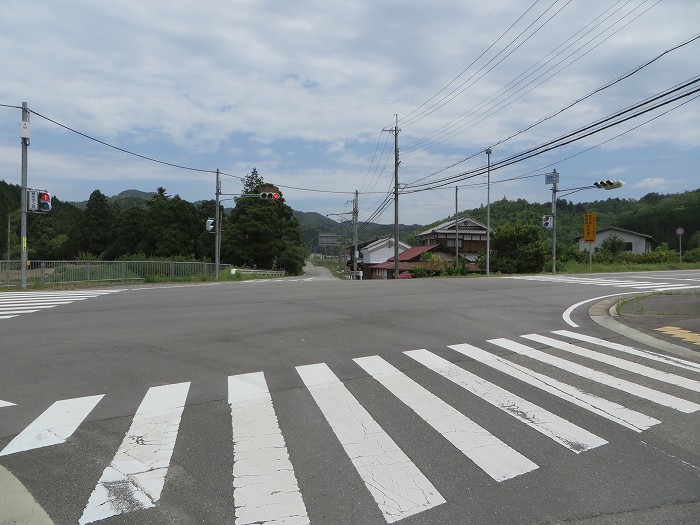 篠山市曽地口/ナンジャモンジャの木～奥原山/原山峠を散策