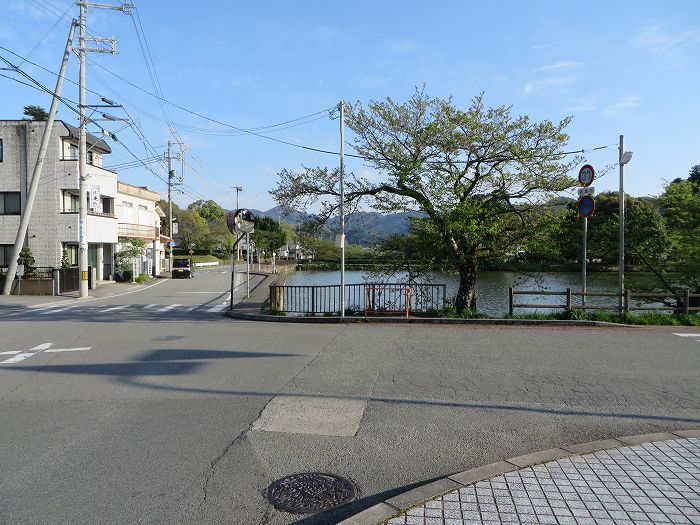 篠山市火打岩/おのぶの滝～篠山市本郷/シャクナゲスポットを散策