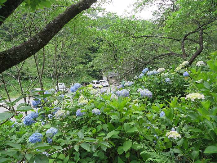 篠山市北野/波賀尾岳を散策