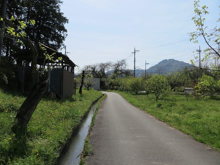 篠山市上筱見/筱見四十八滝～八ヶ尾山～篠山市東本荘/洞光寺を散策