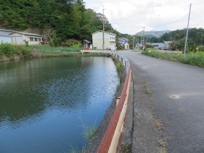 篠山市追入/瓶割峠、大乗寺～西木之部/小谷池を散策