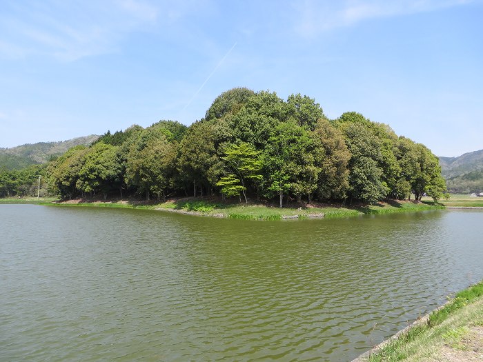 篠山市上筱見/筱見四十八滝～八ヶ尾山～篠山市東本荘/洞光寺を散策