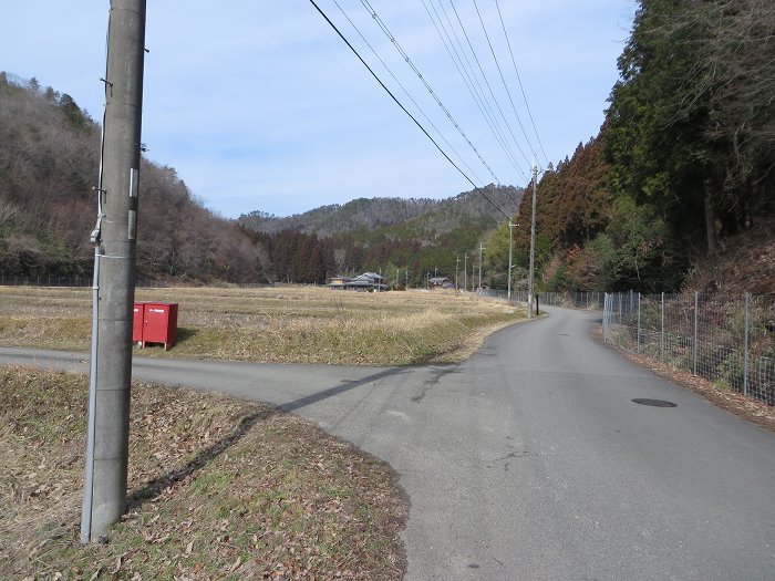 篠山市西野々/県道303号線～奥原山を散策