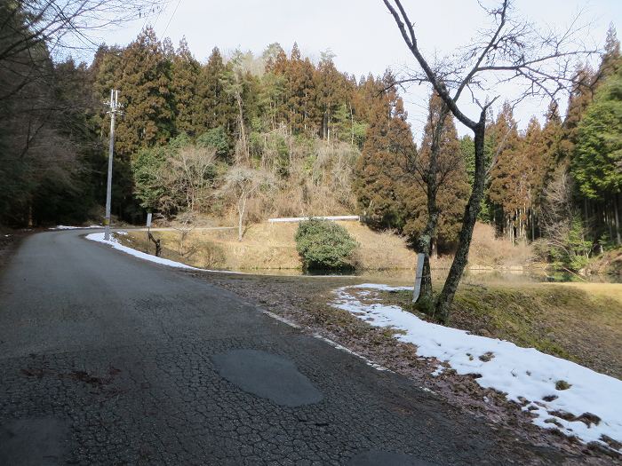 篠山市西野々/県道303号線～奥原山を散策