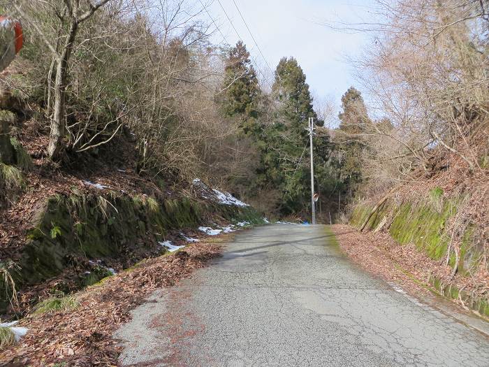 篠山市西野々/県道303号線～奥原山を散策