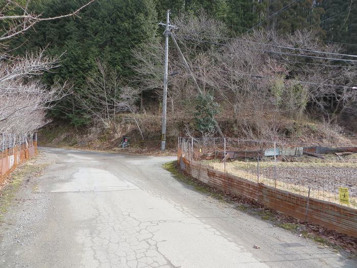 篠山市西野々/県道303号線～奥原山を散策