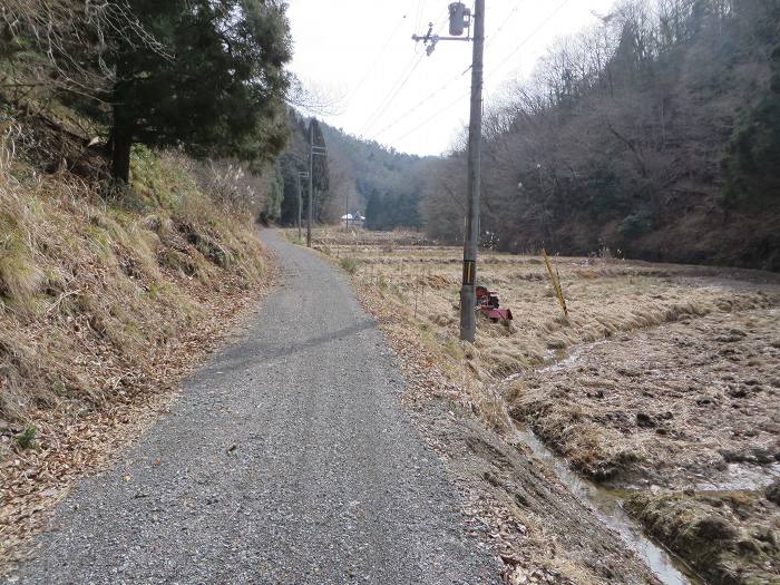 篠山市西野々/県道303号線～奥原山を散策