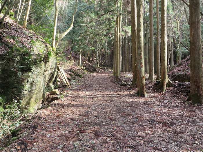 篠山市西野々/県道303号線～奥原山を散策