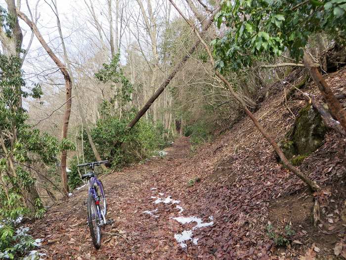 篠山市西野々/県道303号線～奥原山を散策