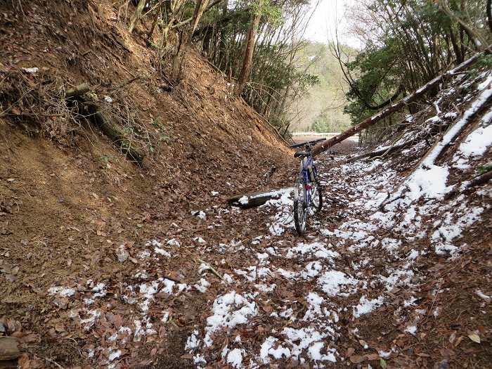 篠山市西野々/県道303号線～奥原山を散策