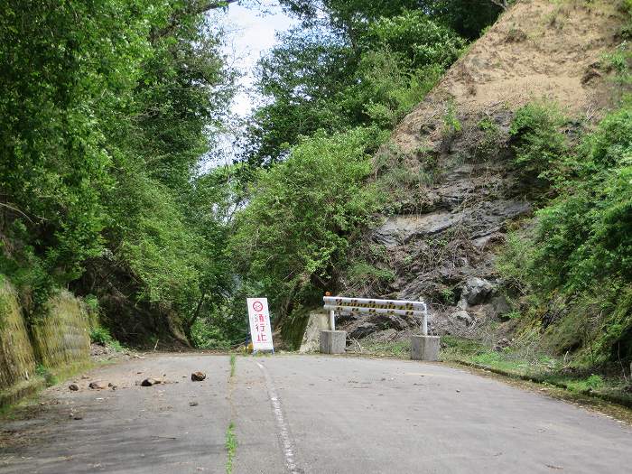 篠山市曽地口/ナンジャモンジャの木～奥原山/原山峠を散策