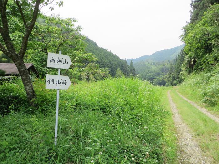 篠山市北野/波賀尾岳を散策